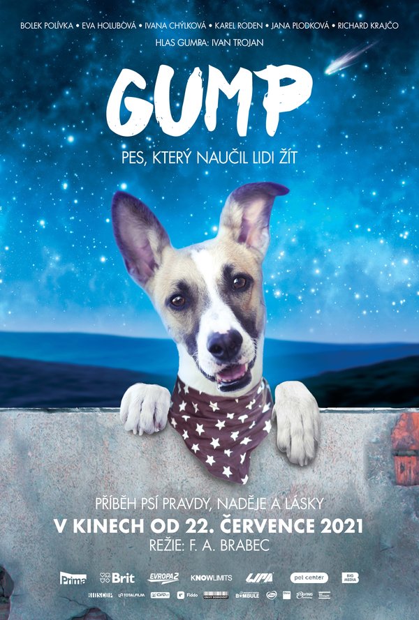 Gump - pes, který naučil lidi žít poster