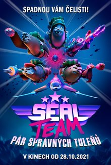 Seal Team: Pár správných tuleňů poster