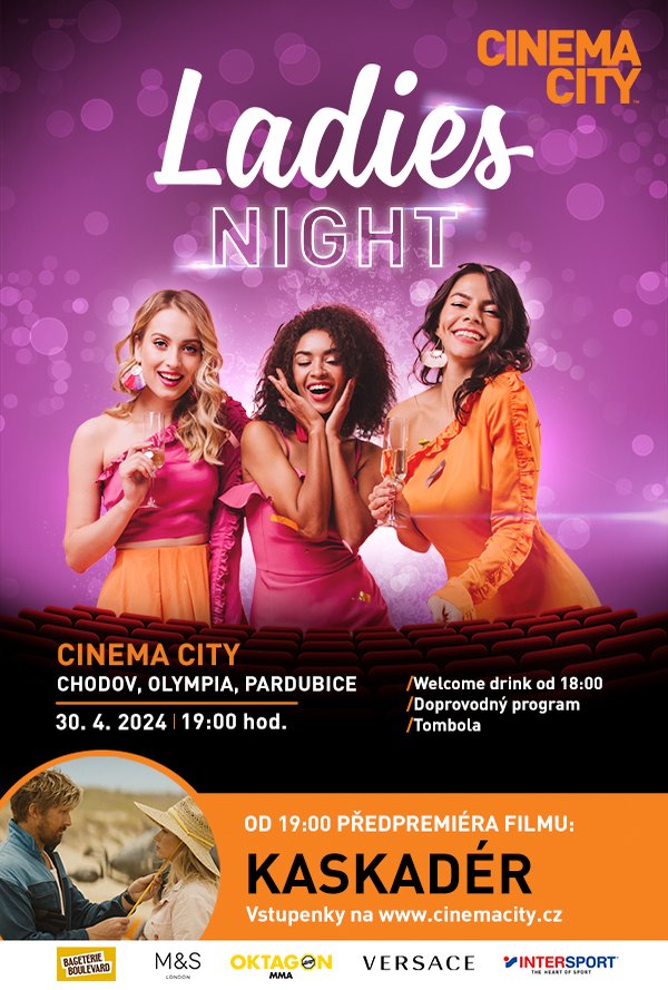 Ladies Night: Kaskadér poster