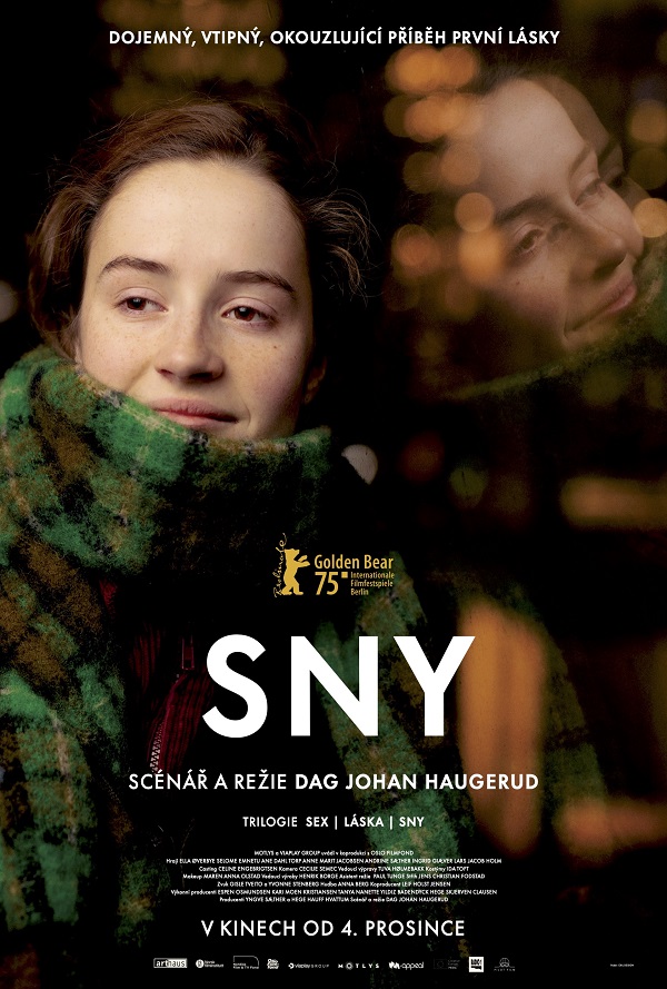 Sny poster
