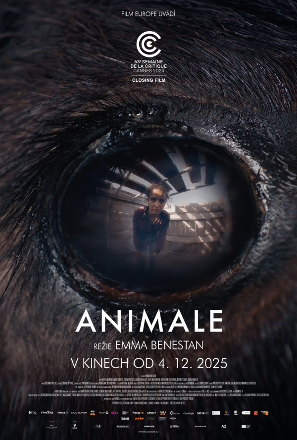 Animale poster