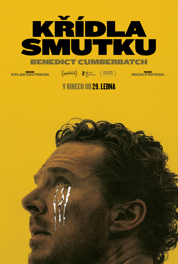 Křídla smutku poster