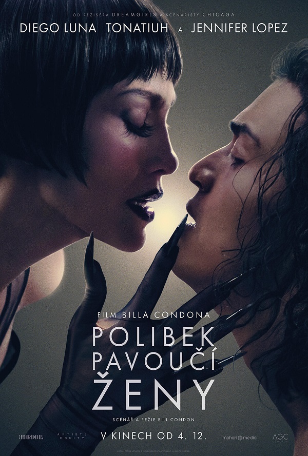 Polibek pavoučí ženy poster