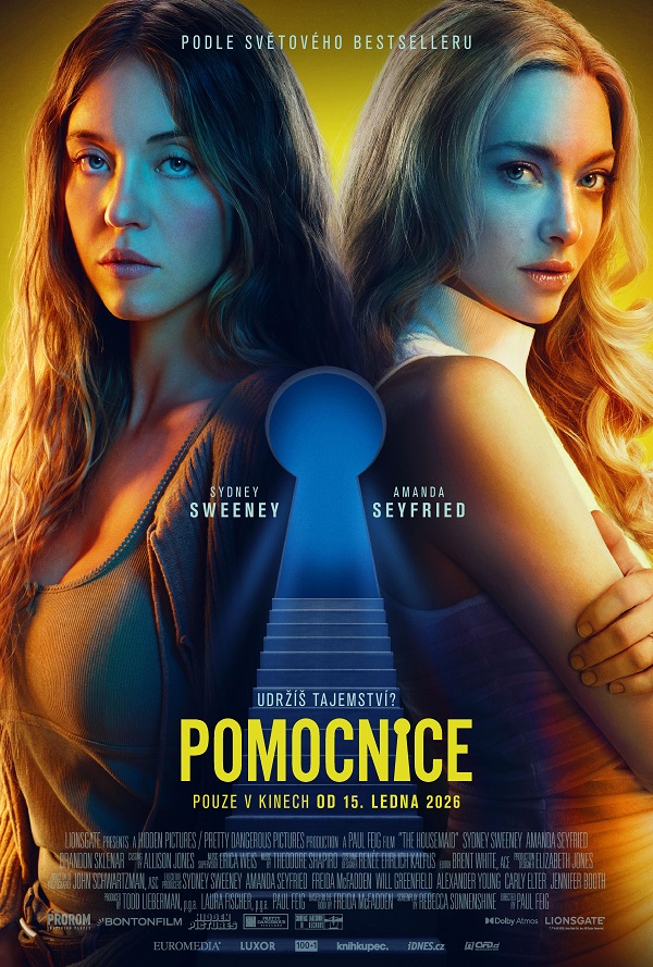 Pomocnice poster