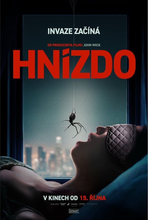Hnízdo